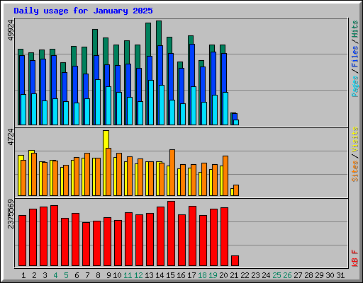 Daily usage for January 2025