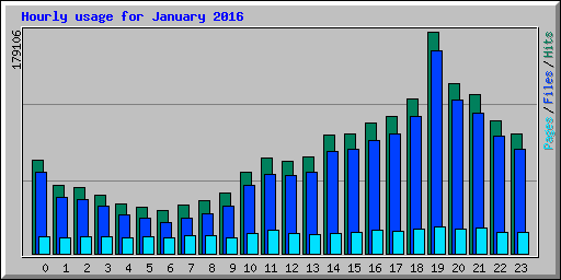 Hourly usage for January 2016