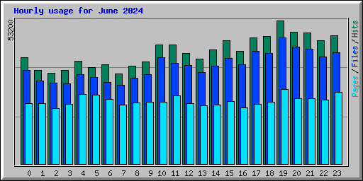 Hourly usage for June 2024