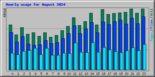 Hourly usage for August 2024