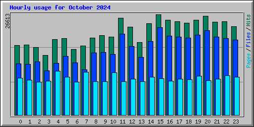 Hourly usage for October 2024