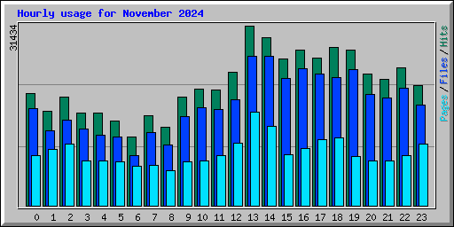 Hourly usage for November 2024