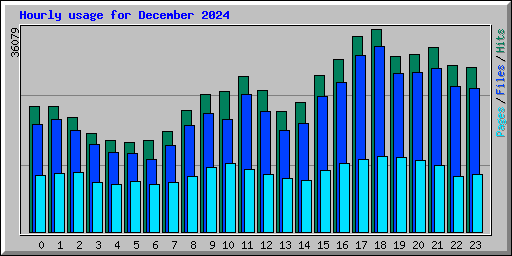 Hourly usage for December 2024