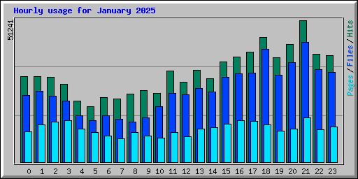 Hourly usage for January 2025