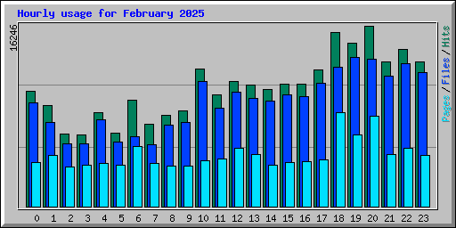 Hourly usage for February 2025