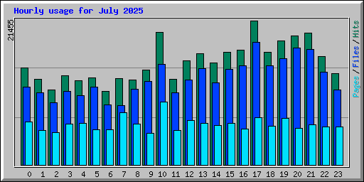 Hourly usage for July 2025