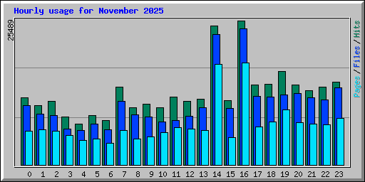 Hourly usage for November 2025