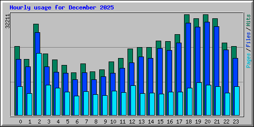 Hourly usage for December 2025