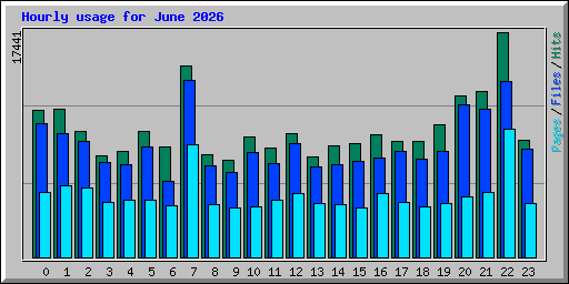 Hourly usage for June 2026