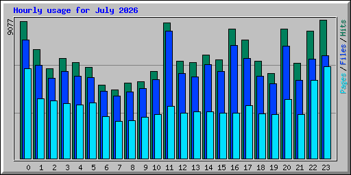 Hourly usage for July 2026
