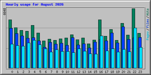 Hourly usage for August 2026